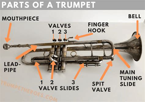 trumpet parts diagram|replacement trumpet parts.